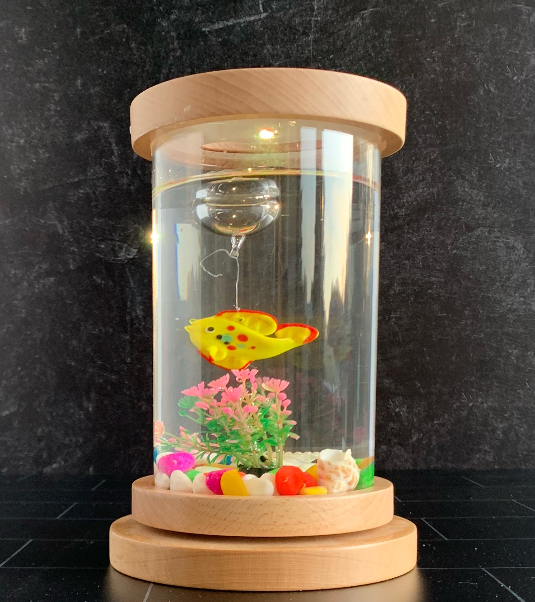 Lighted Desk Top Fish Aquarium O Day Cache