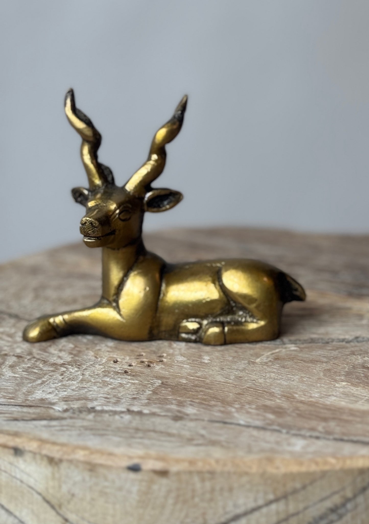 Brass Deer