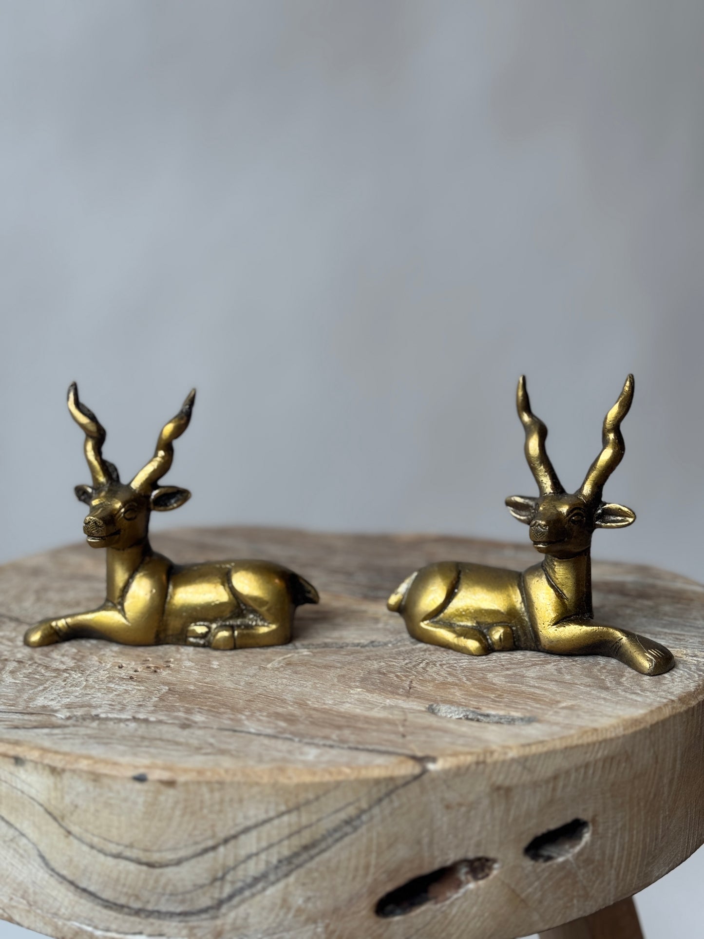 Brass Deer