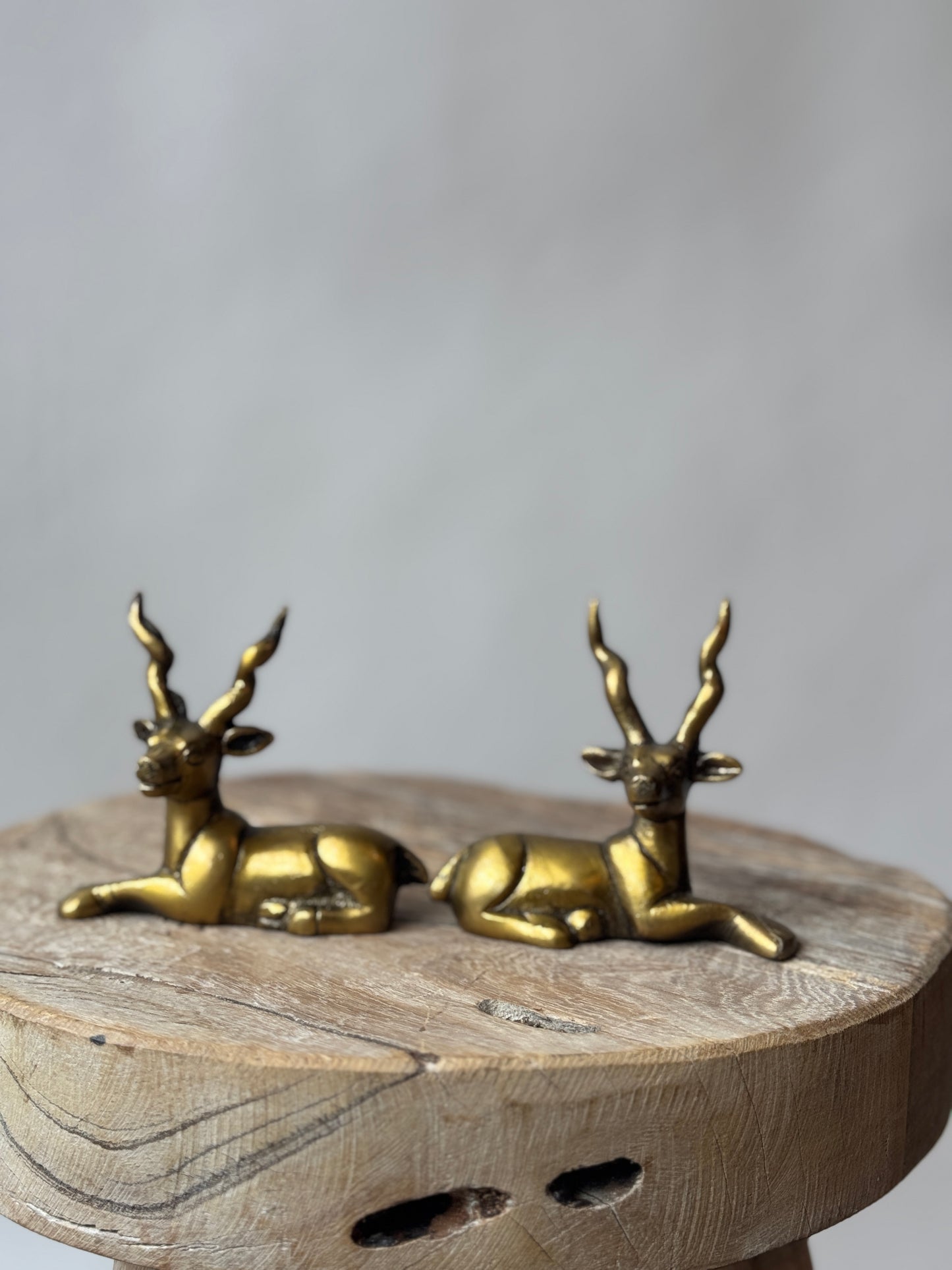 Brass Deer