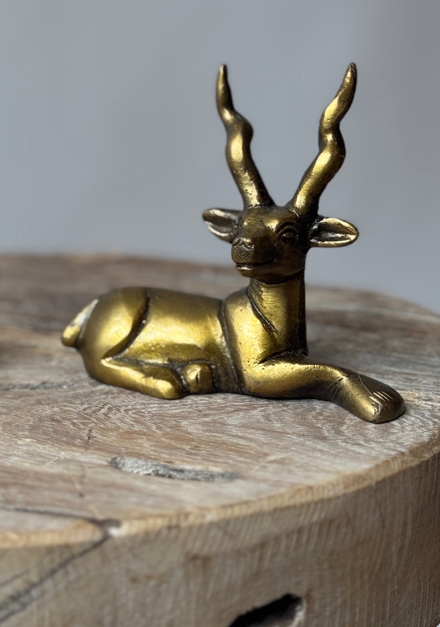 Brass Deer