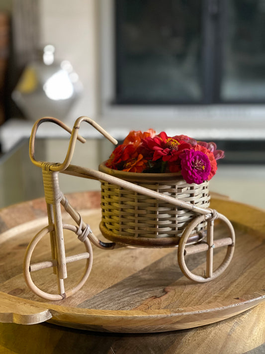 Bicycle Rattan Planter