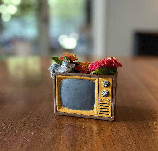 Retro TV Planter