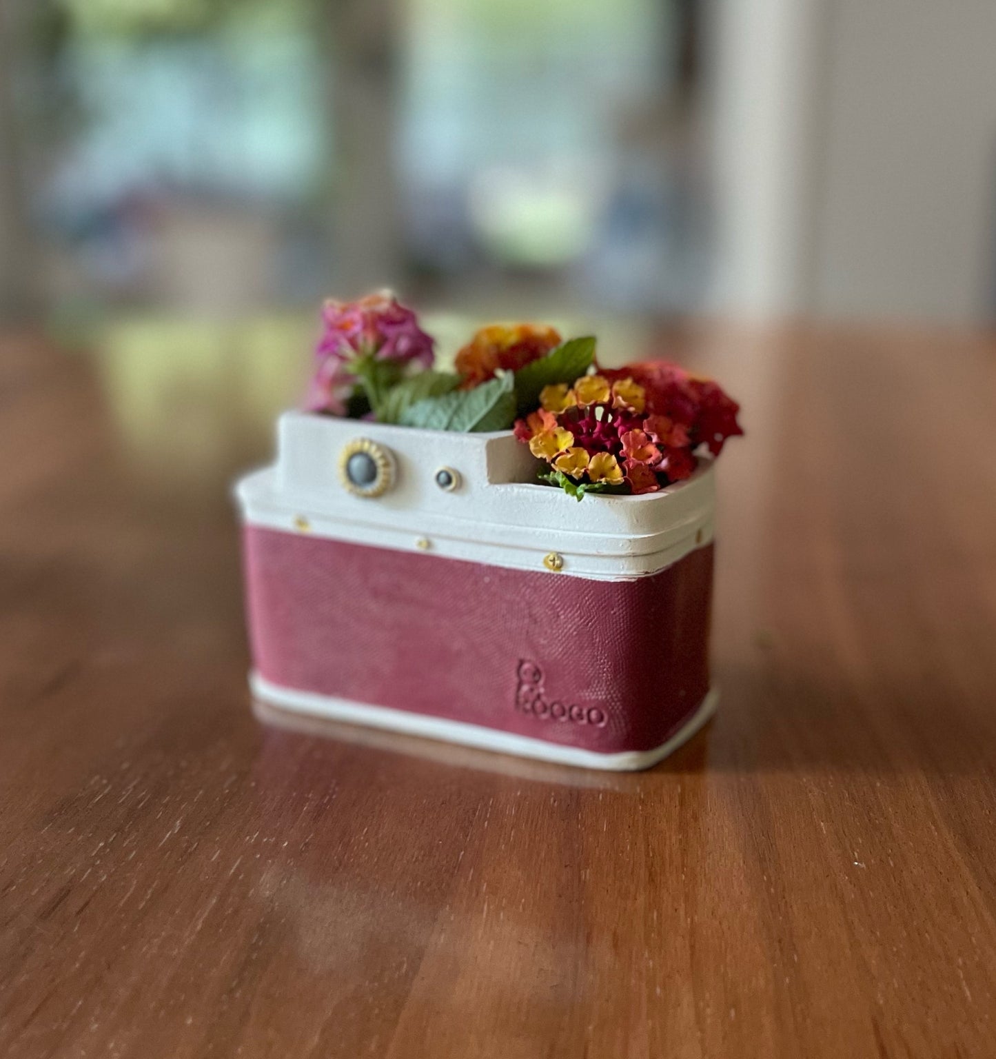 Red Camera Planter