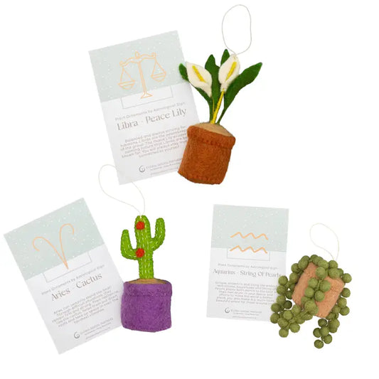 Plant Ornament Astrology Signs with Card