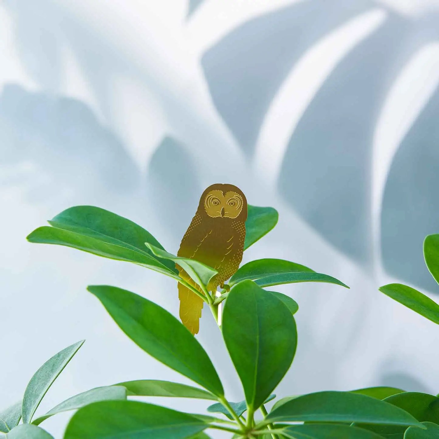 Owl Plant Accessory