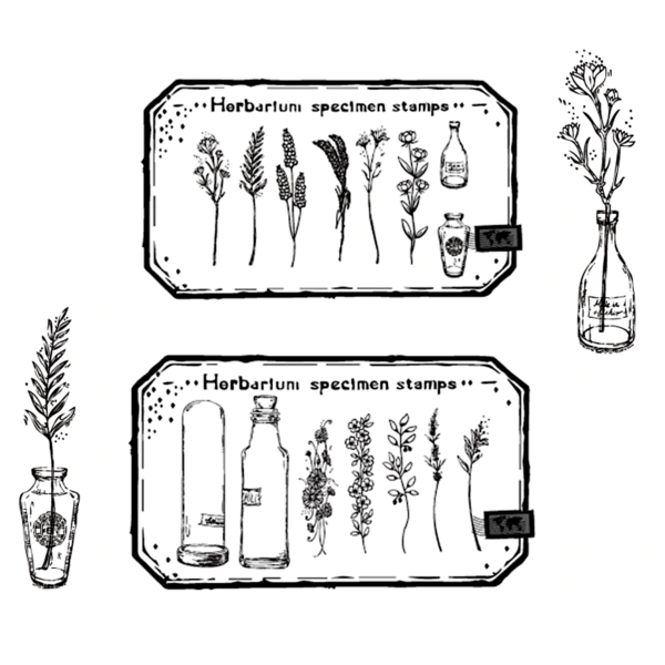 Herbarium Specimen Stamp Set