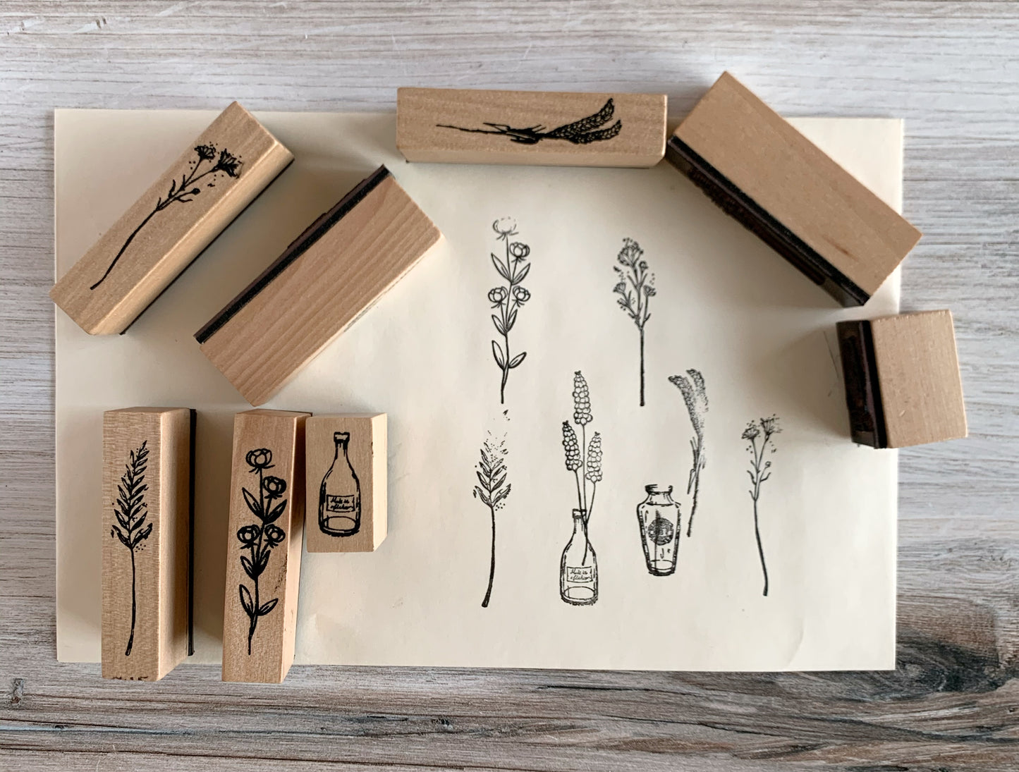 Herbarium Specimen Stamp Set