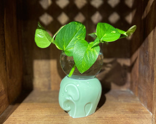 Elephant Vase